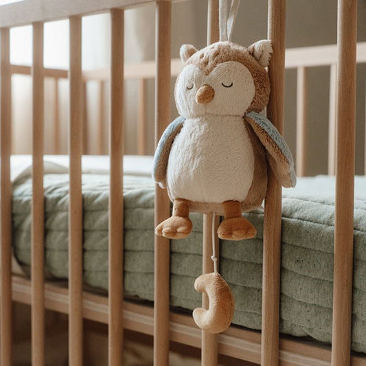 Búho Musical Forest Friends Little Dutch