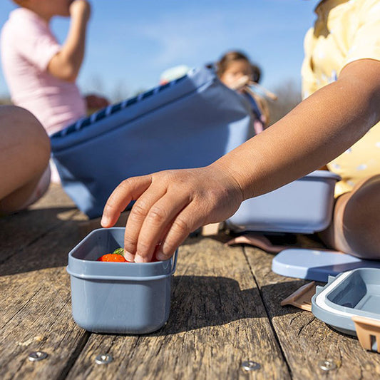 Caja Almuerzo Bento Stripes Blue
