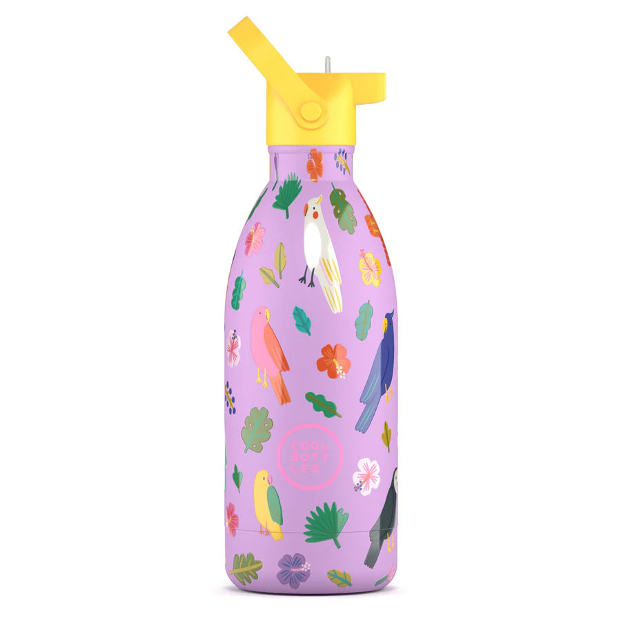 Botella Termo Fly Free 500ml Cool Bottles