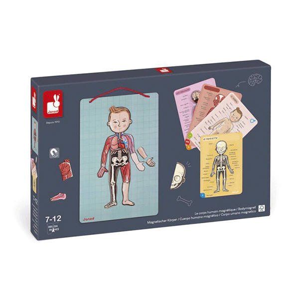 Juego Magnético El Cuerpo Humano Janod En 12 Idiomas