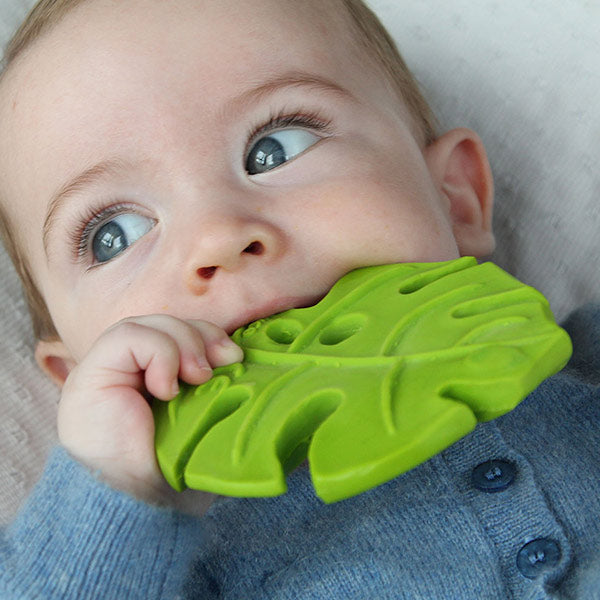 Mordedor Monstera Deliciosa Lanco