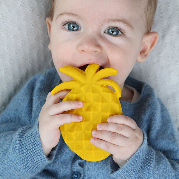 Mordedor Panare Piña Lanco