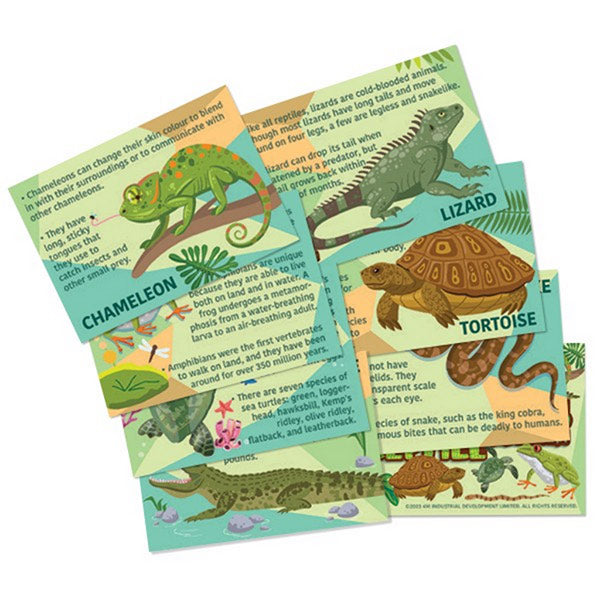 Mould & Paint Reptiles Y Anfibios