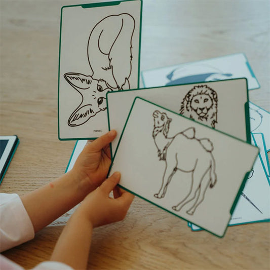 Plantillas Pizarra Mágica Kidydraw Animales del Mundo y Océanos Piratas