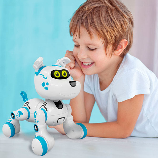 Robot Bobby Xtreme Bots