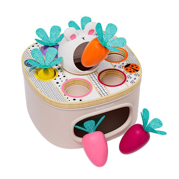 Zanahorias Encajables Colores y Tamaños TopBright