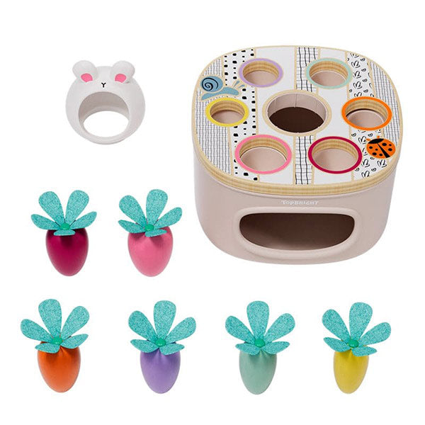Zanahorias Encajables Colores y Tamaños TopBright