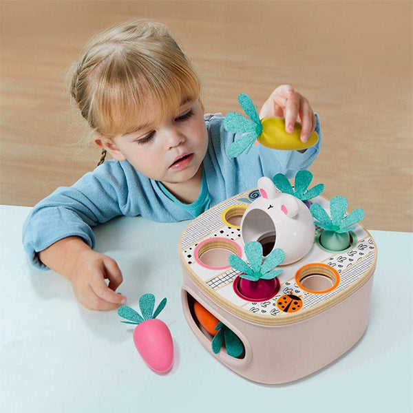Zanahorias Encajables Colores y Tamaños TopBright