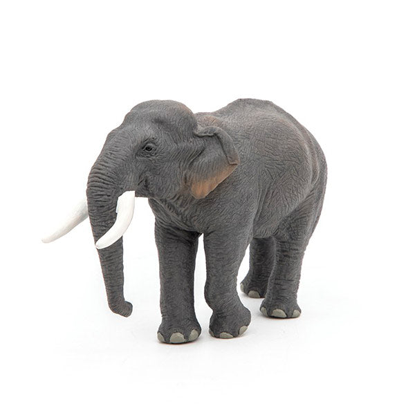 Elefante Asiático Animales Juguete Papo