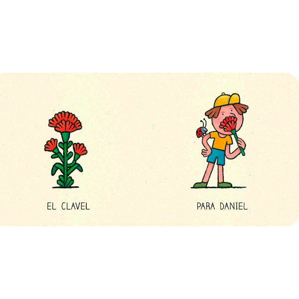 Flores