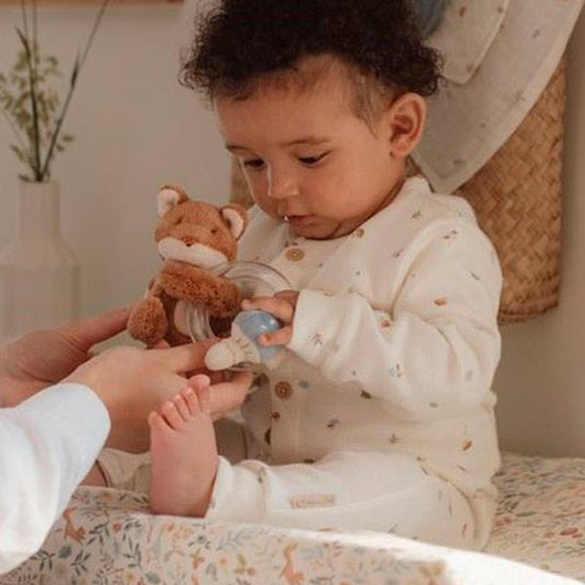 Zorro Musical Little Dutch Forest Friends