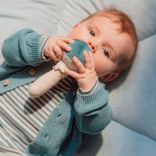 Sonajero Little Dutch Seta Forest Friends