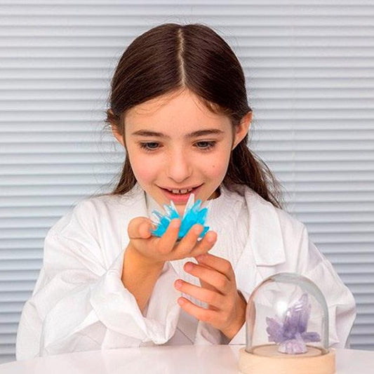 Cristalización para Niños Sentosphere