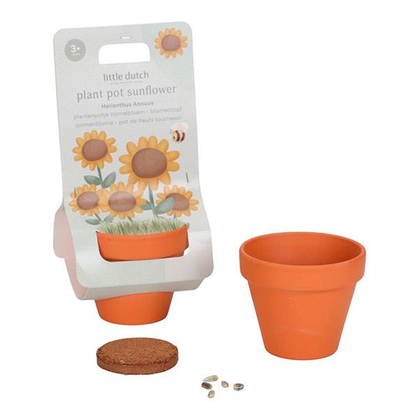 Maceta Planta Girasol Little Dutch