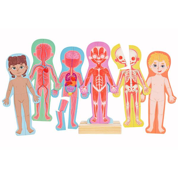 Puzzle Magnético Cuerpo Humano Hape