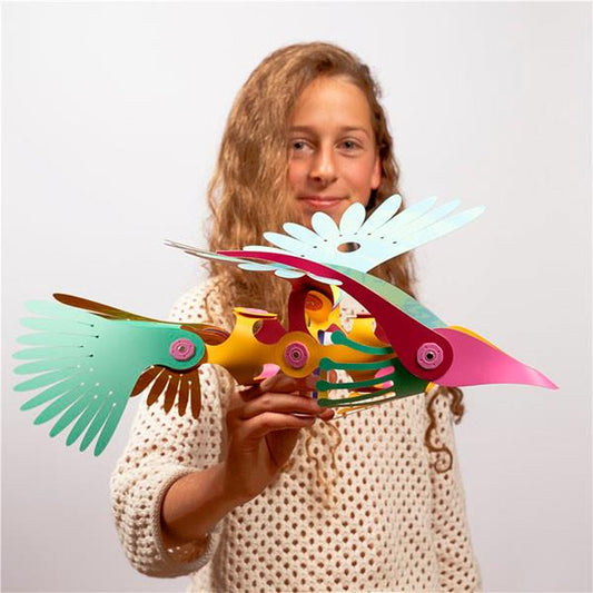 Clixo Tropical Birds