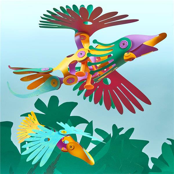 Clixo Tropical Birds