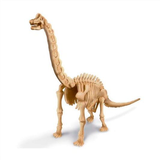 Kidzlabs Kit Geológico De Un Brachiosaurus