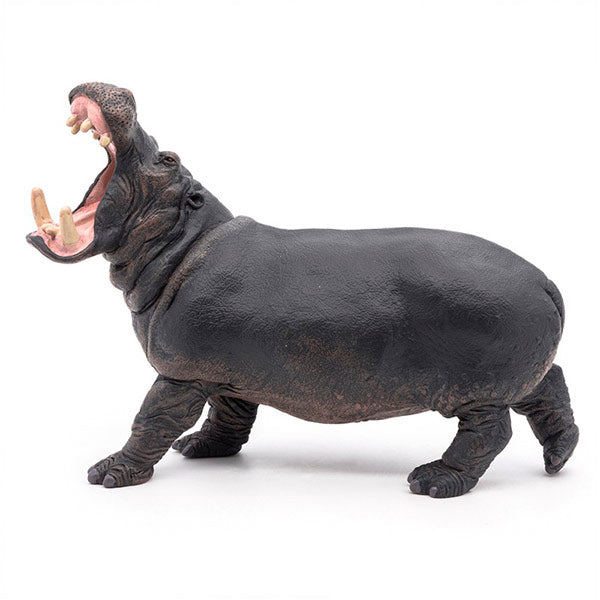 Hipopótamo Animales Juguete Papo