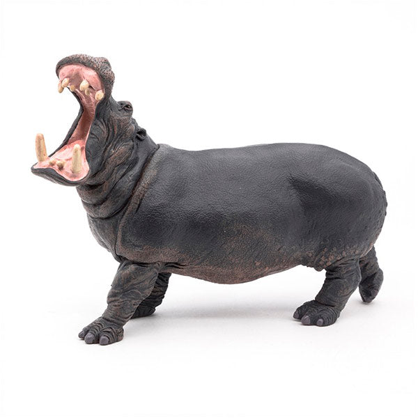 Hipopótamo Animales Juguete Papo