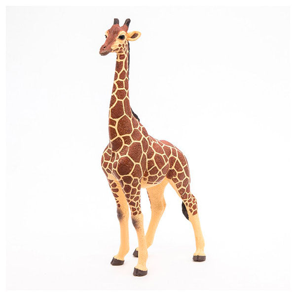 Jirafa Macho Animales Juguete Papo