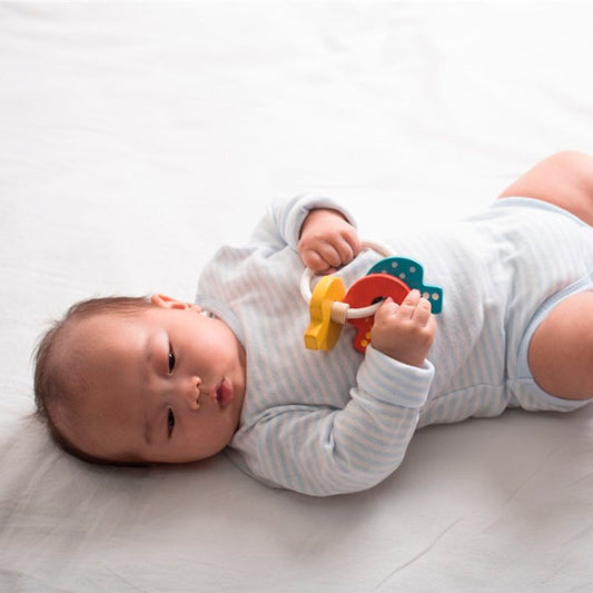 Sonajero Llavero Plantoys