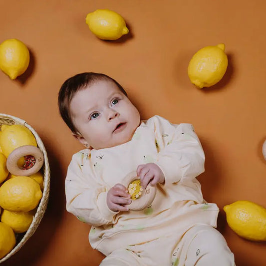 Sonajero Mordedor Sensory Donuts Oranges Petit Boum