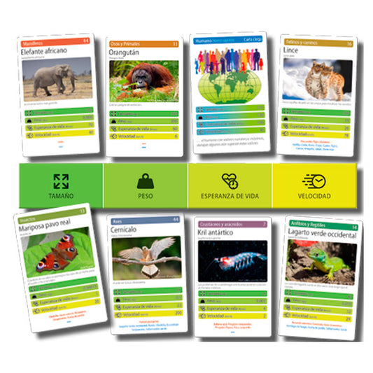 Top Animales Falomir