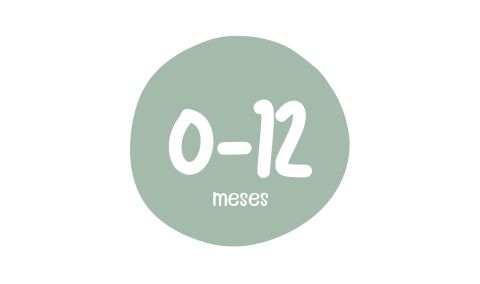 De 0 a 12 meses