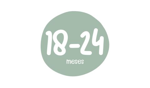 De 18 a 24 meses