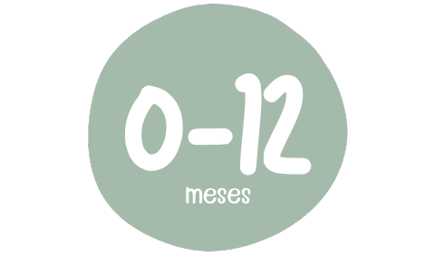 De 0 a 12 meses