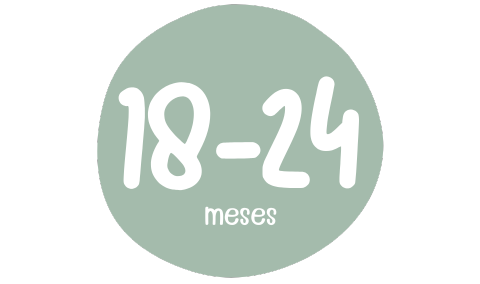 De 18 a 24 meses