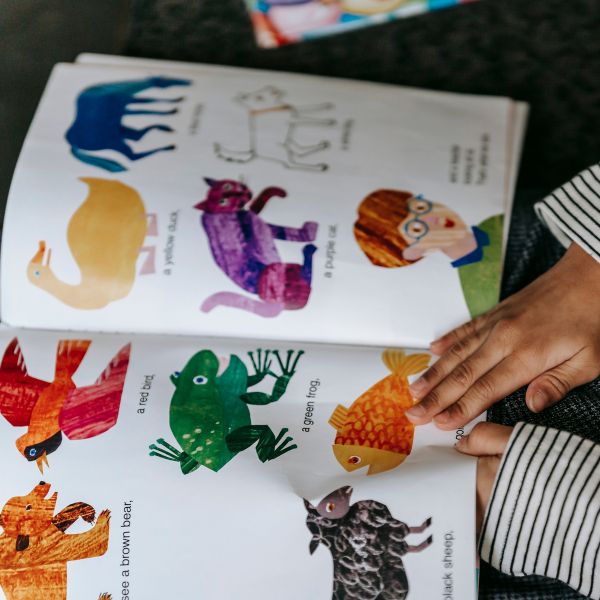 Libros ilustrados