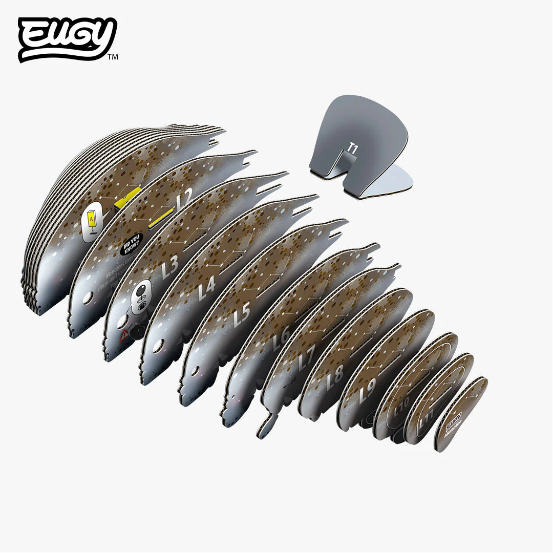 Puzzle 3D Manatí Eugy Dodoland
