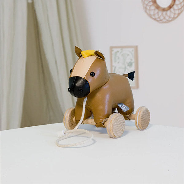 Animales Para Pasear Carlos El Caballo