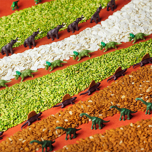 Botella Calma Spy Jurassic Petit Boum