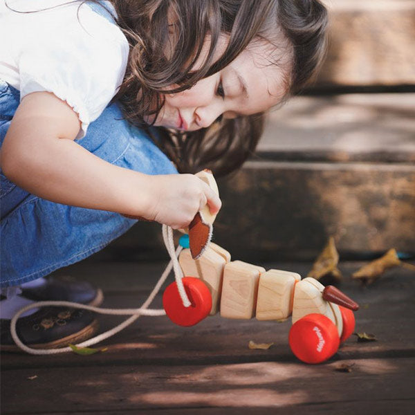 Cachorro Feliz Arrastre Plantoys
