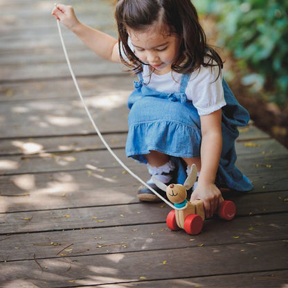 Cachorro Feliz Arrastre Plantoys
