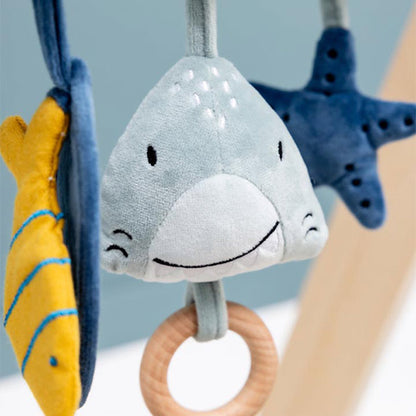 Espiral Actividades Trixie Tiburón