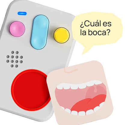 Faba Primeros Descubrimientos El Cuerpo
