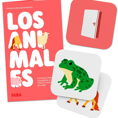 Faba Primeros Descubrimientos Los Animales