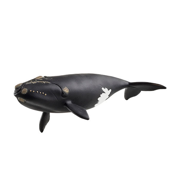 Figura Ballena Franca Glacial Schleich Wild Life