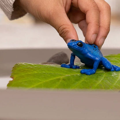 Figura Rana Flecha Azul Schleich Wild Life