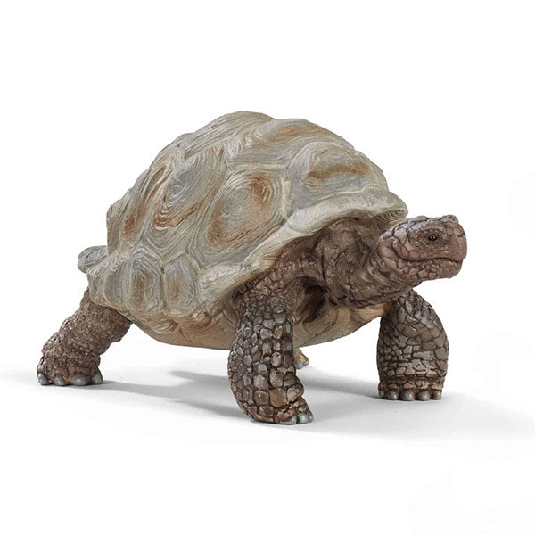 Figura Tortuga Gigante Schleich Wild Life