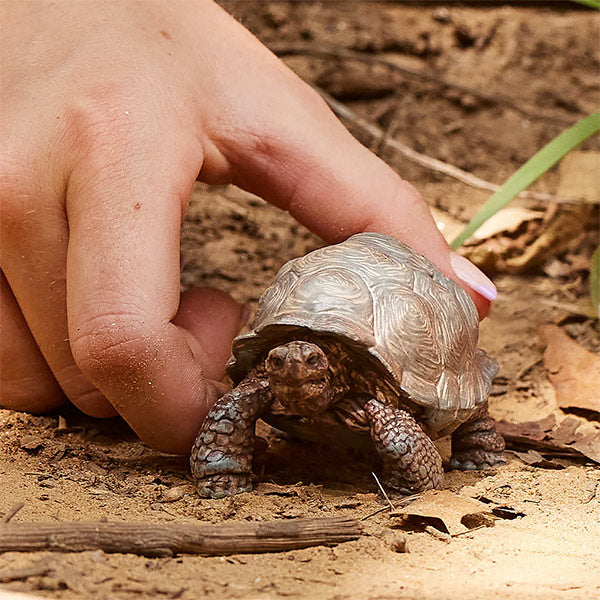 Figura Tortuga Gigante Schleich Wild Life