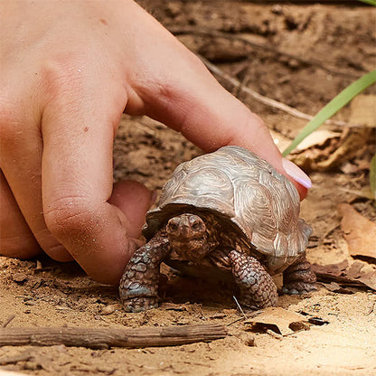 Figura Tortuga Gigante Schleich Wild Life