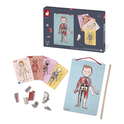 Juego Magnético El Cuerpo Humano Janod En 12 Idiomas