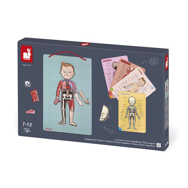 Juego Magnético El Cuerpo Humano Janod En 12 Idiomas