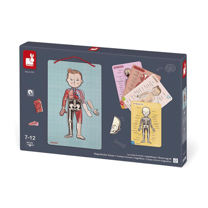 Juego Magnético El Cuerpo Humano Janod En 12 Idiomas