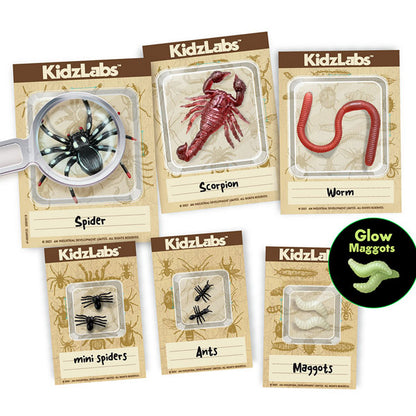 Kidz Labs Excavación De Insectos